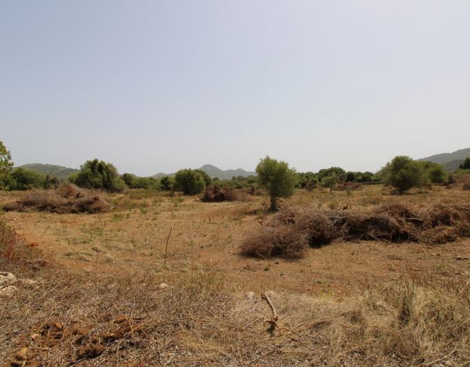 Bonita Finca rustica cerca del Pueblo de Arta.
