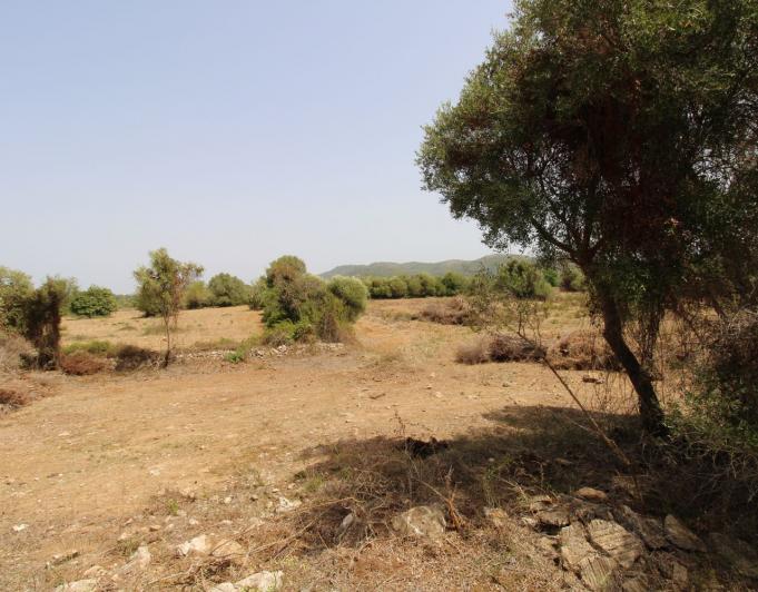 Bonita Finca rustica cerca del Pueblo de Arta.
