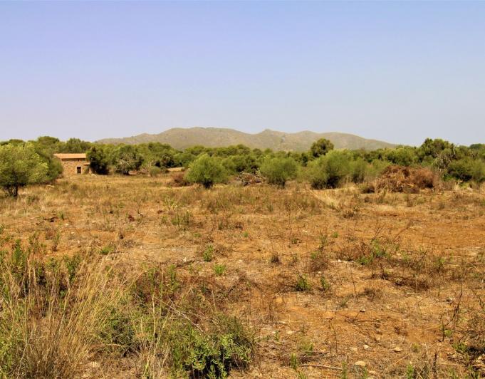 Bonita Finca rustica cerca del Pueblo de Arta.