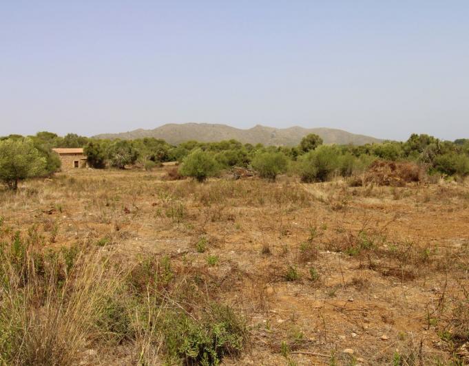Bonita Finca rustica cerca del Pueblo de Arta.