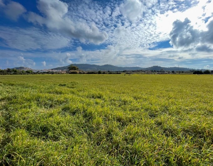 Preciosa finca rústica con impresionantes vistas en las afueras de la ciudad de Capdepera.