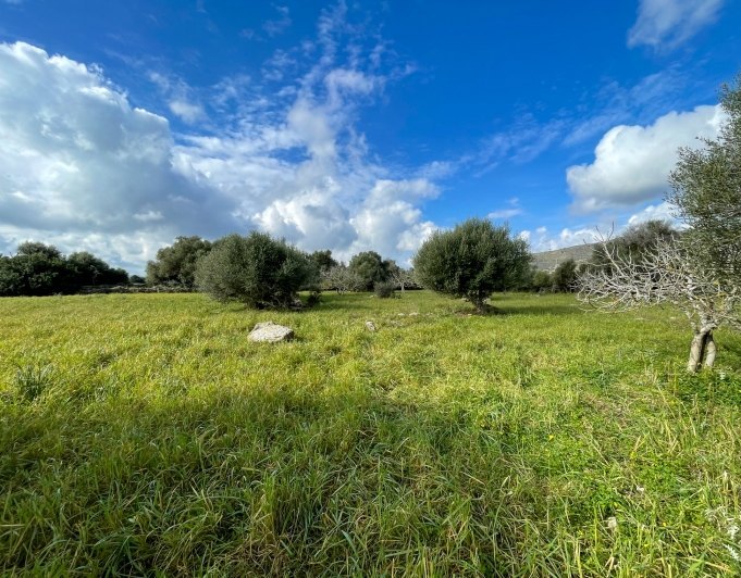 Preciosa finca rústica con impresionantes vistas en las afueras de la ciudad de Capdepera.