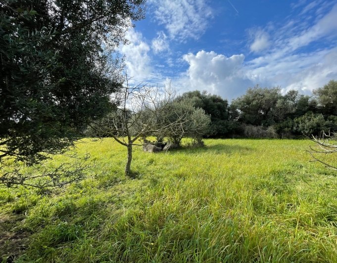 Preciosa finca rústica con impresionantes vistas en las afueras de la ciudad de Capdepera.