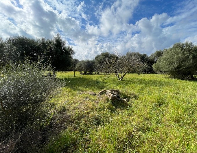 Preciosa finca rústica con impresionantes vistas en las afueras de la ciudad de Capdepera.