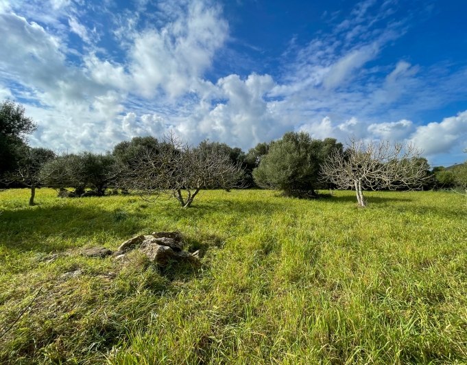 Preciosa finca rústica con impresionantes vistas en las afueras de la ciudad de Capdepera.