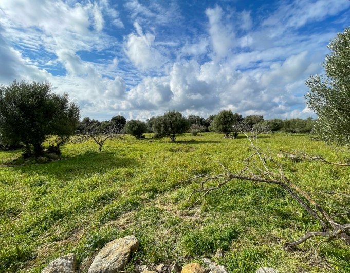 Preciosa finca rústica con impresionantes vistas en las afueras de la ciudad de Capdepera.