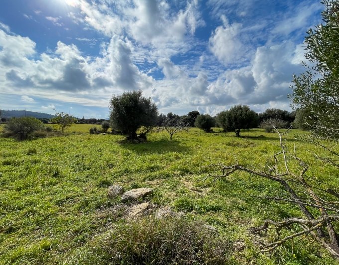 Preciosa finca rústica con impresionantes vistas en las afueras de la ciudad de Capdepera.