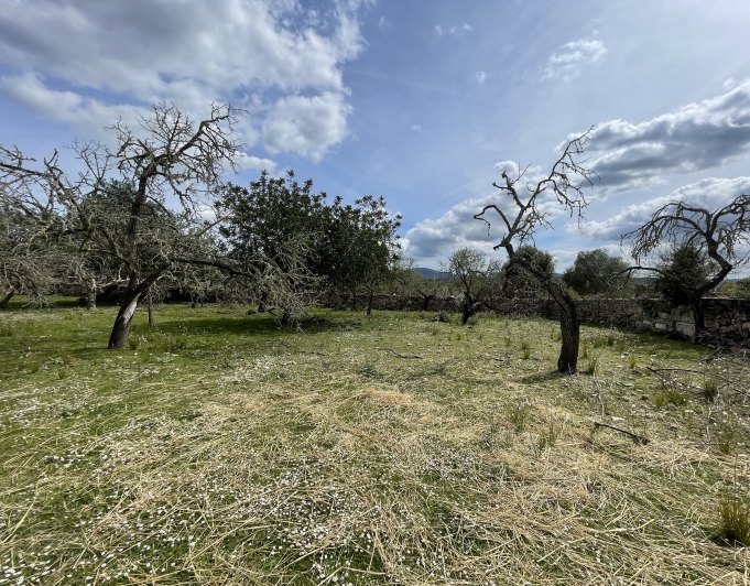 Magnificent finca with views in Santa Margarita