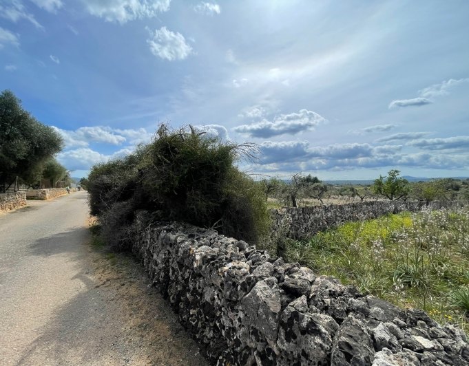 Magnificent finca with views in Santa Margarita
