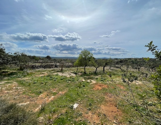 Magnificent finca with views in Santa Margarita