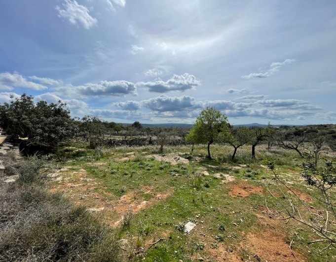 Magnificent finca with views in Santa Margarita