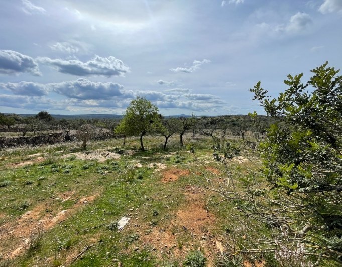 Magnificent finca with views in Santa Margarita