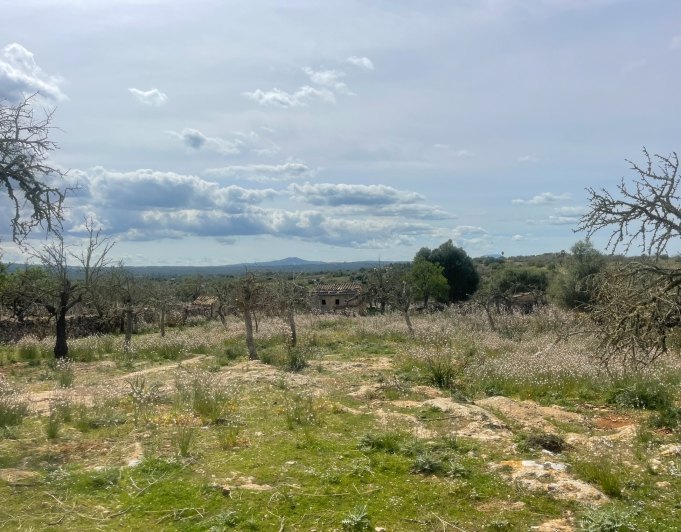 Magnificent finca with views in Santa Margarita