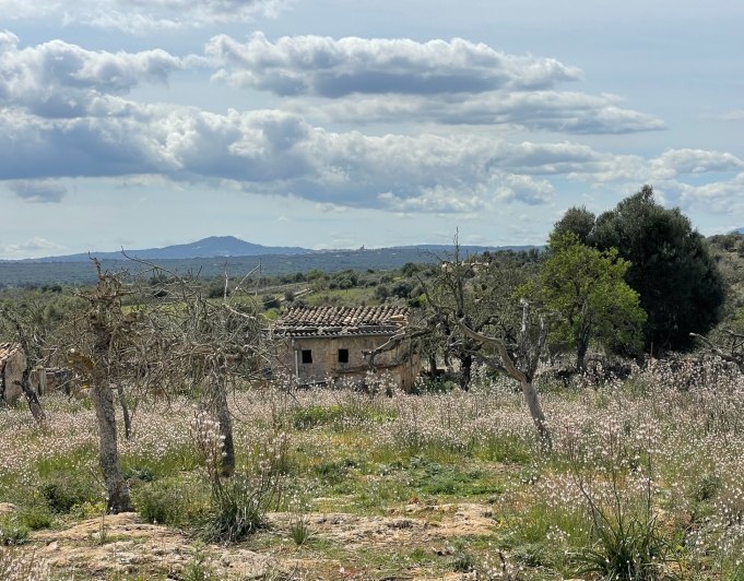 Magnificent finca with views in Santa Margarita