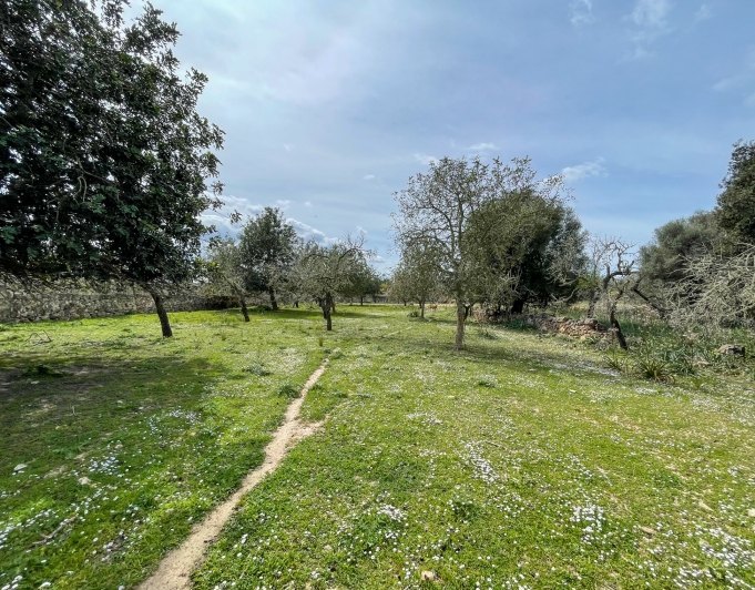Magnificent finca with views in Santa Margarita