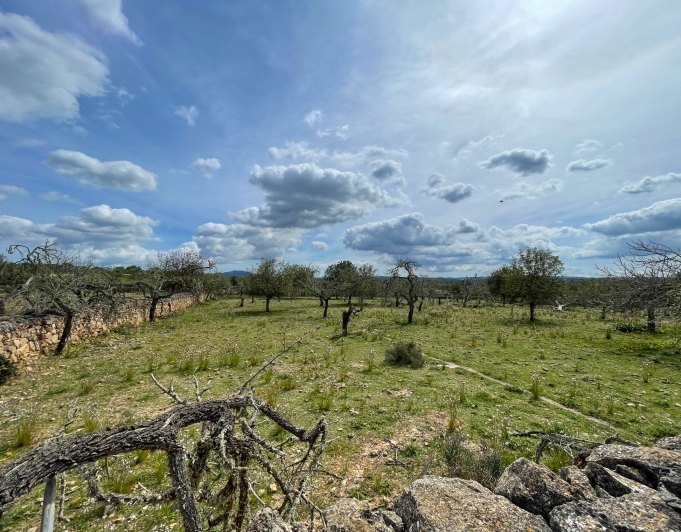 Magnificent finca with views in Santa Margarita