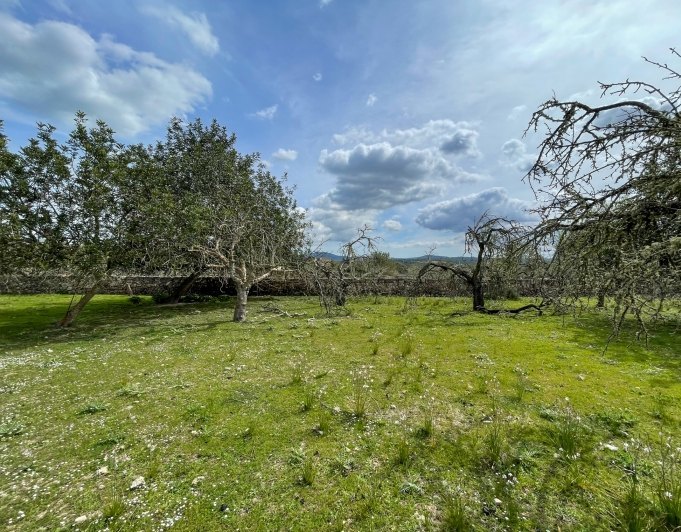 Magnificent finca with views in Santa Margarita