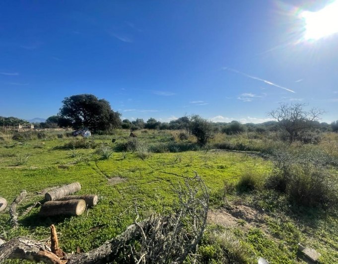 Hermosa finca con vistas despejadas en Santa Margarita.