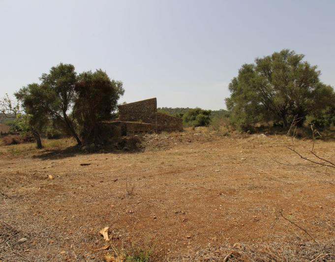 Bonita Finca rustica cerca del Pueblo de Arta.