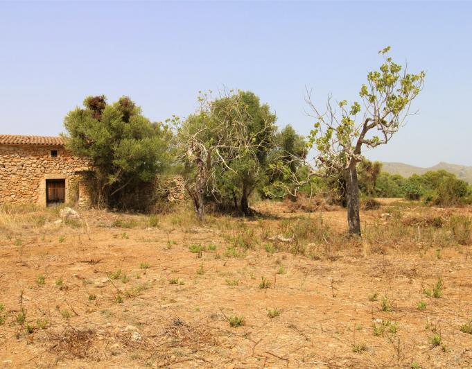 Bonita Finca rustica cerca del Pueblo de Arta.