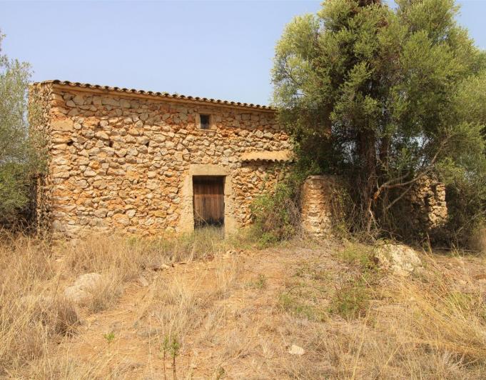 Bonita Finca rustica cerca del Pueblo de Arta.