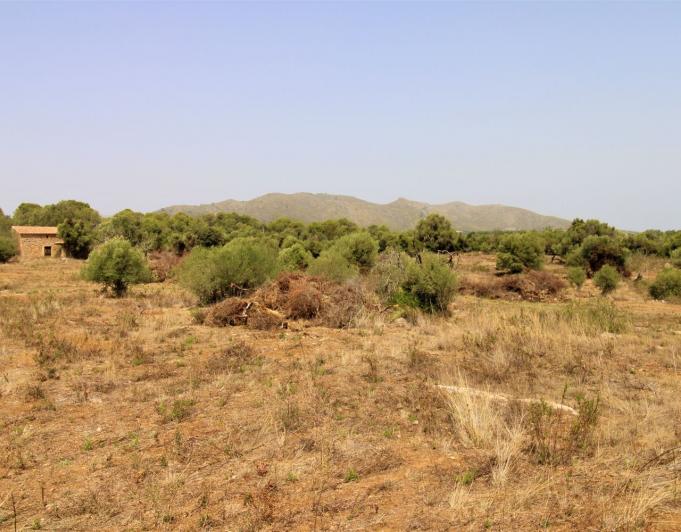 Bonita Finca rustica cerca del Pueblo de Arta.