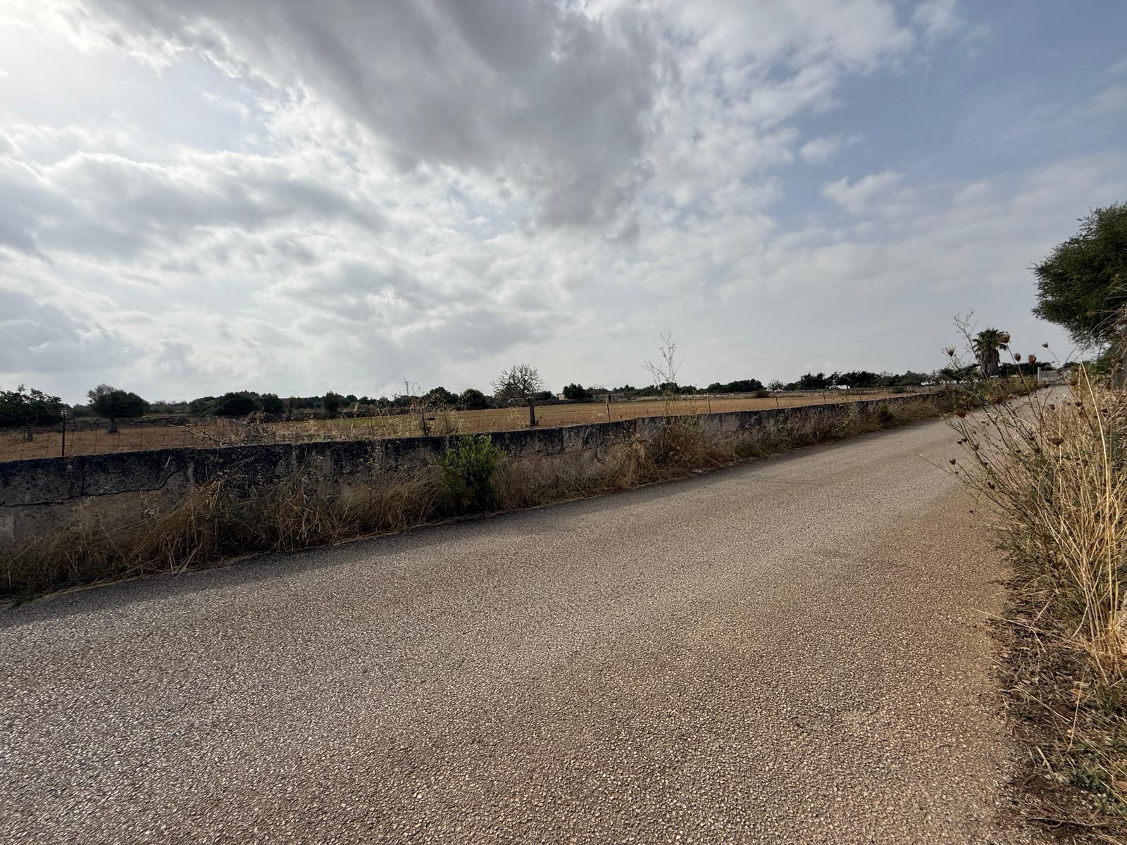 Terreno con proyecto básico a 5 minutos de Can Picafort