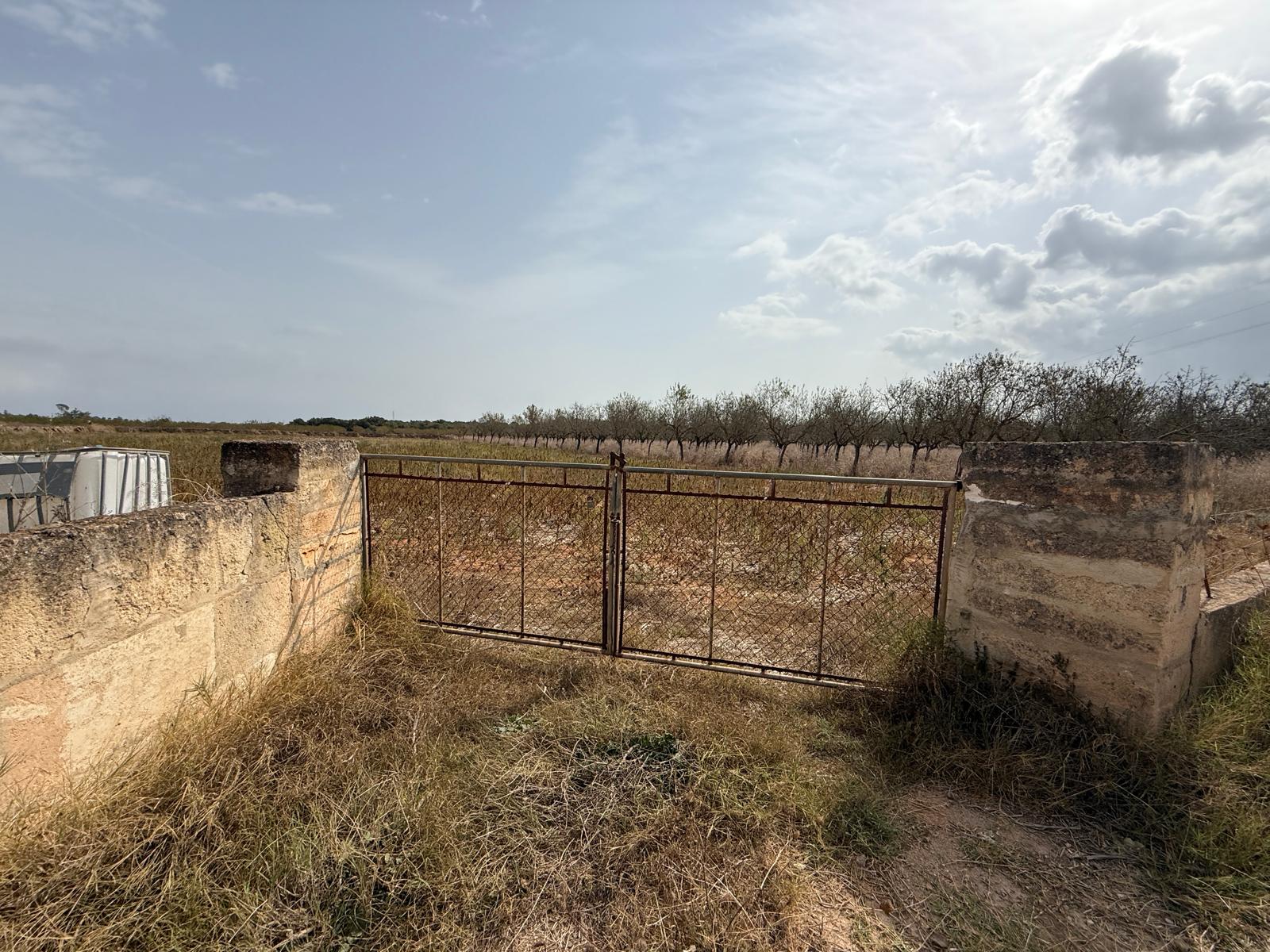 Terreno con proyecto básico a 5 minutos de Can Picafort
