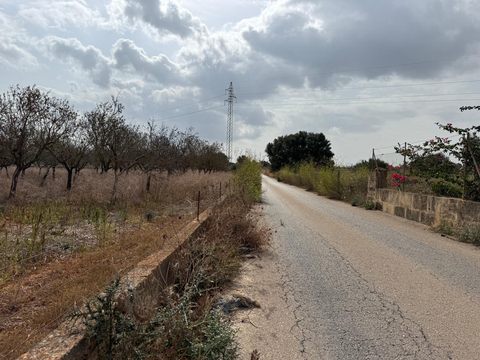 Terreno con proyecto básico a 5 minutos de Can Picafort