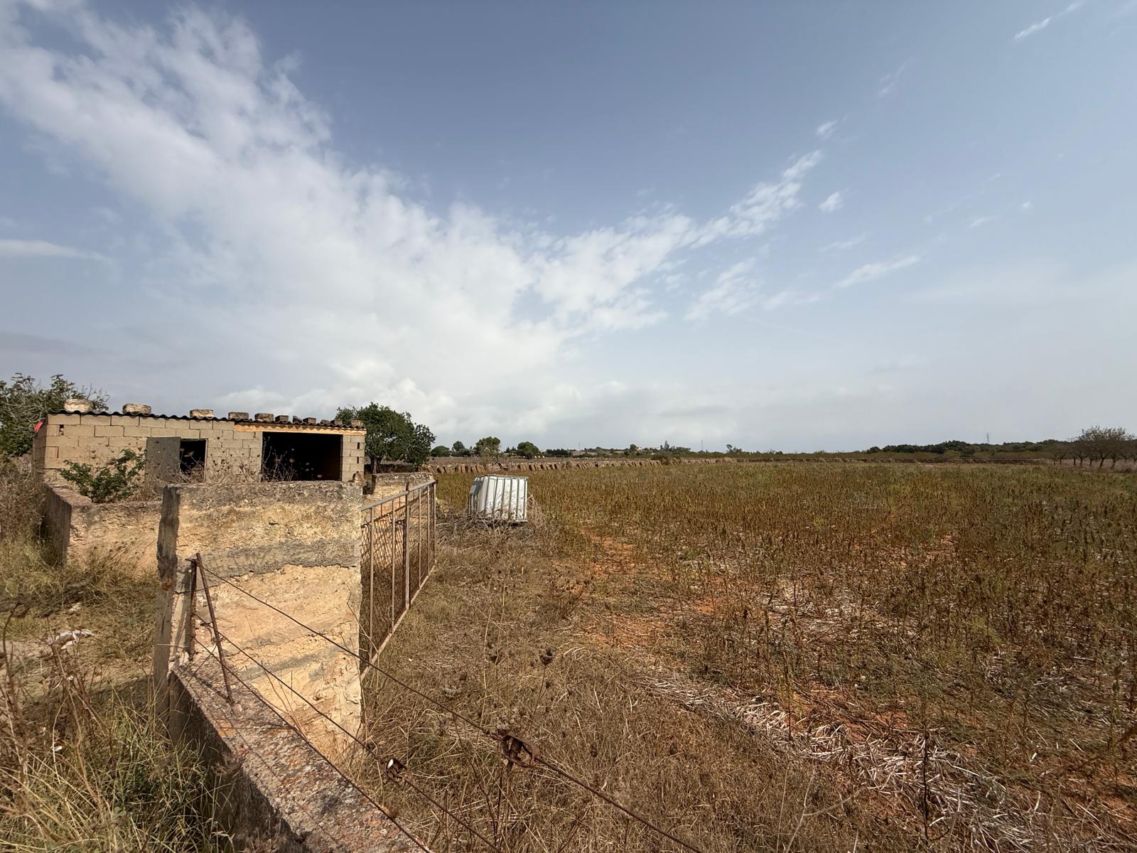 Terreno con proyecto básico a 5 minutos de Can Picafort