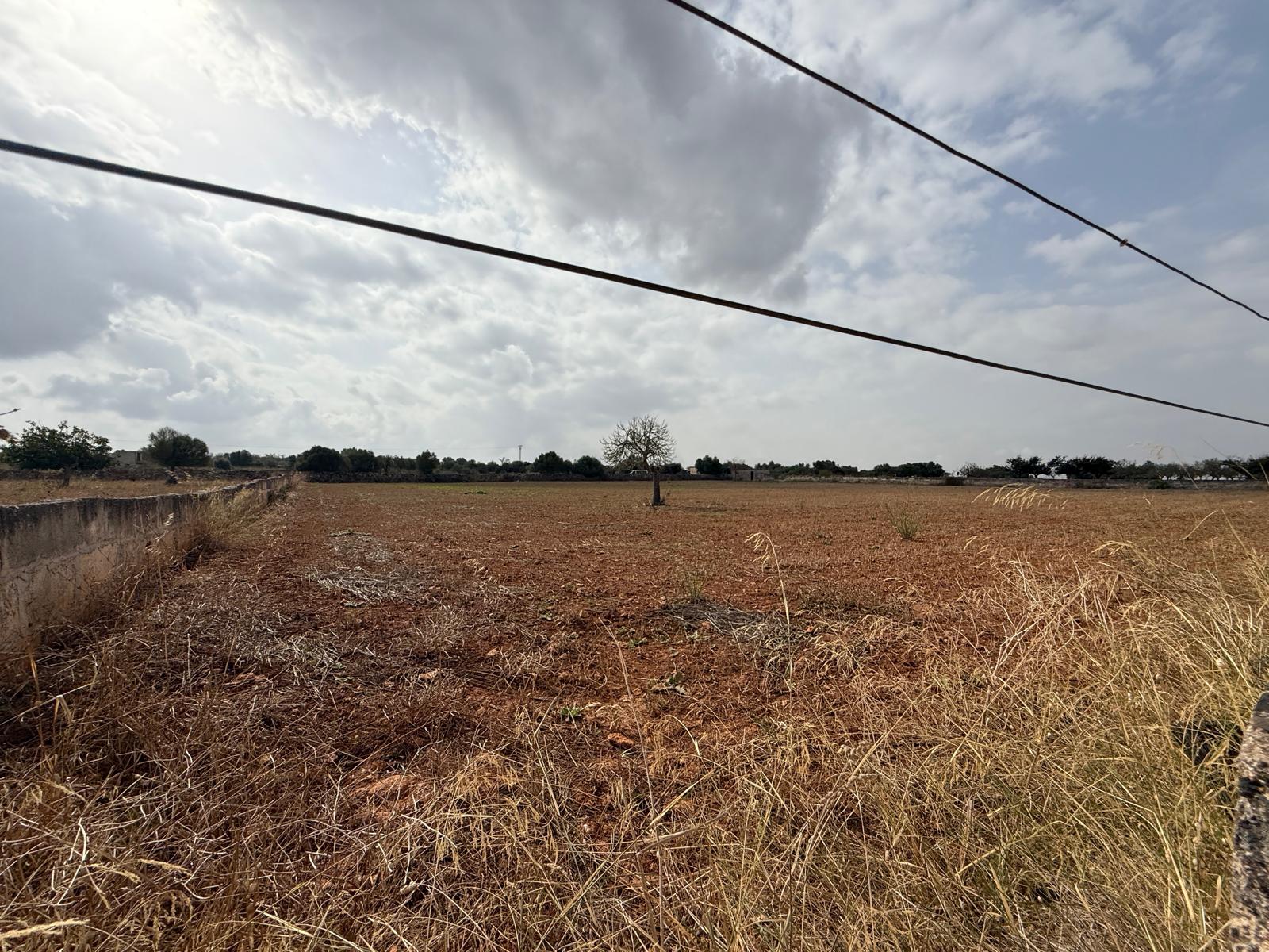 Parcela rústica con proyecto y licencia,listo para construir, a solo 5 minutos de Can Picafort