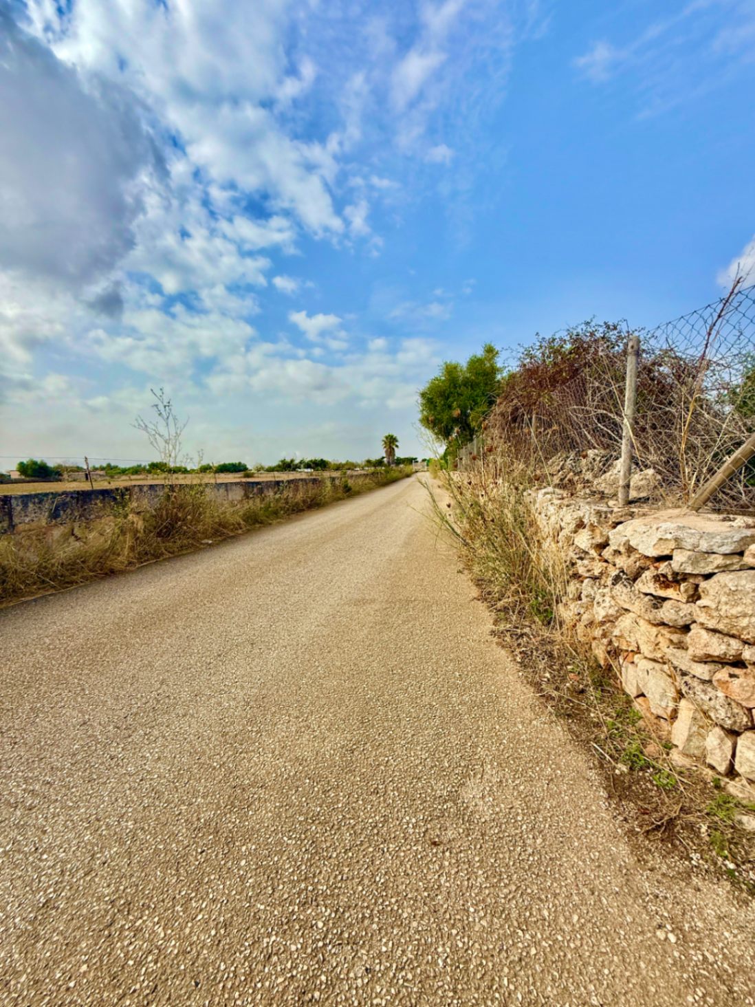 Parcela rústica con proyecto y licencia,listo para construir, a solo 5 minutos de Can Picafort