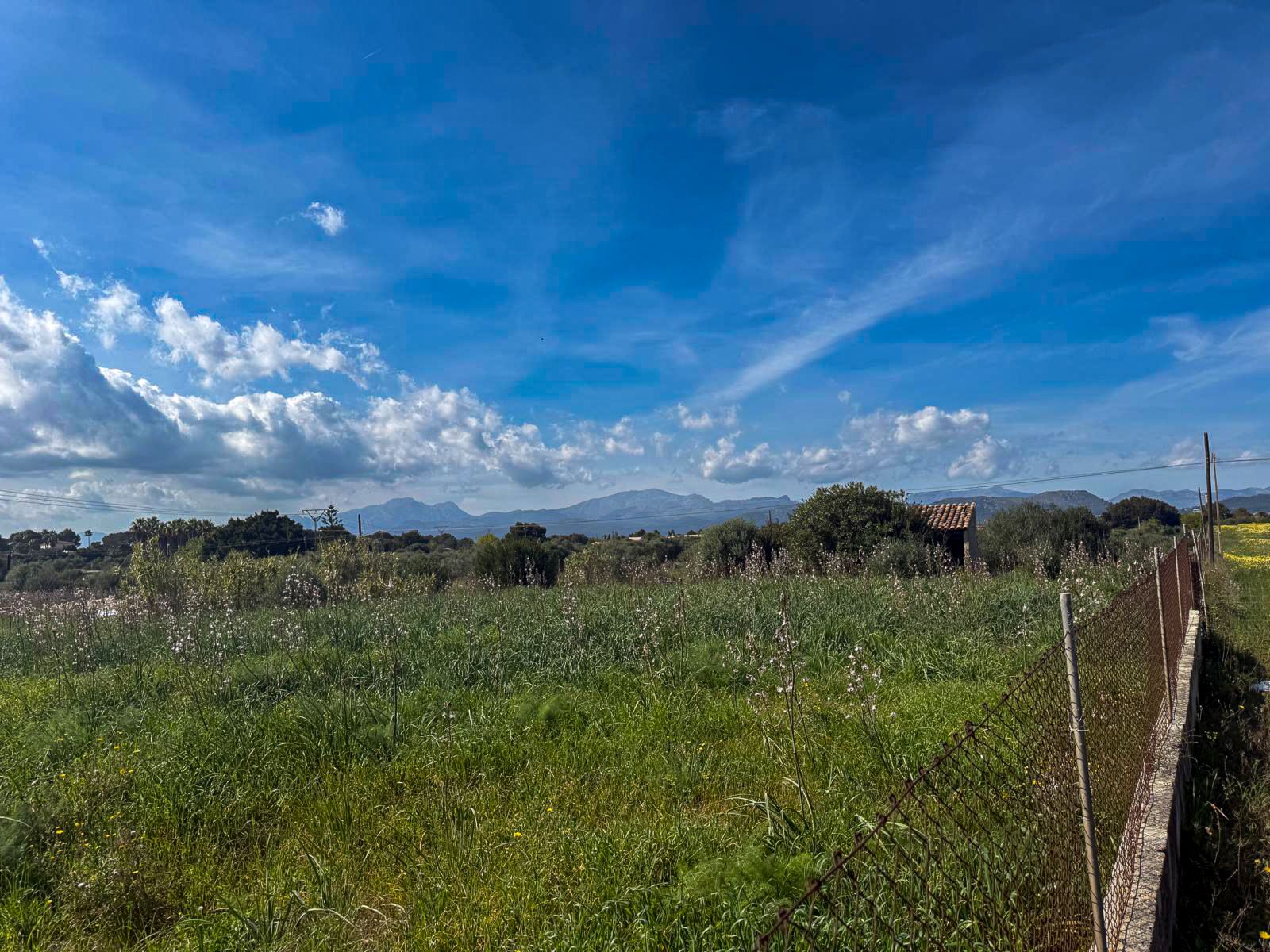 Terrain Premium de 18 000 m² avec projet pour une villa de luxe à Muro, à 5 minutes de la plage de Muro.