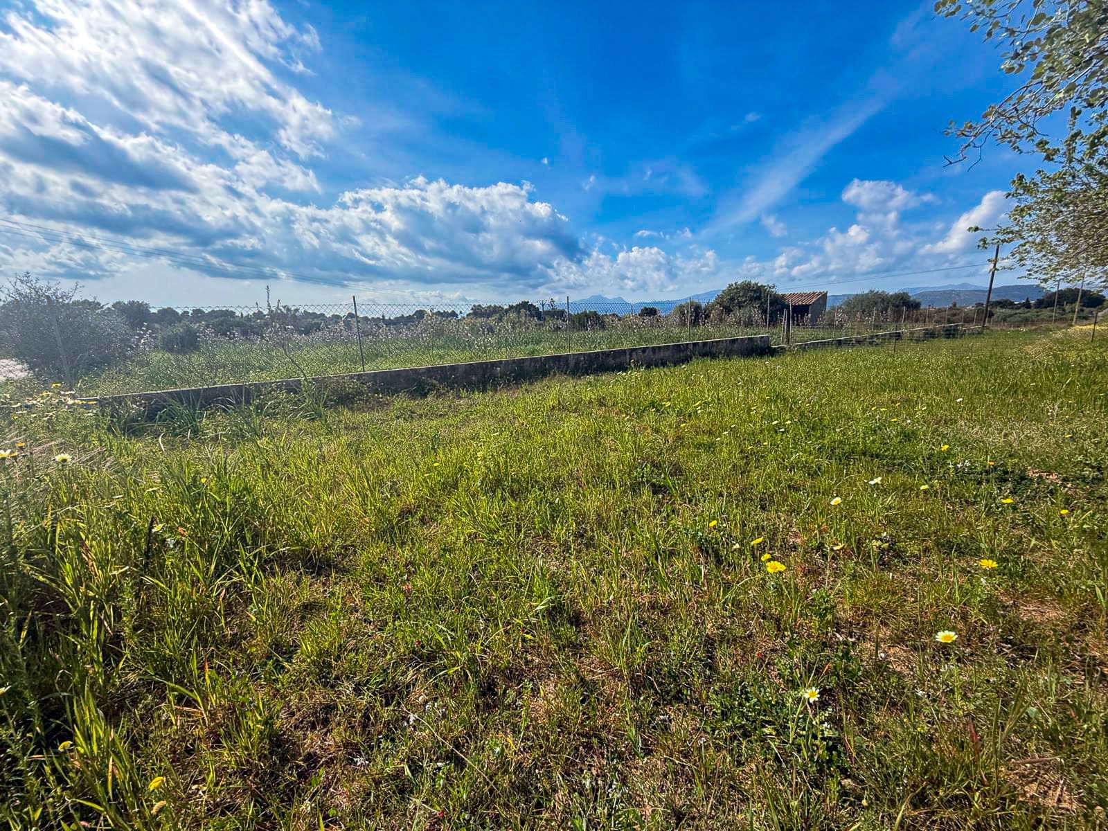 Terrain Premium de 18 000 m² avec projet pour une villa de luxe à Muro, à 5 minutes de la plage de Muro.
