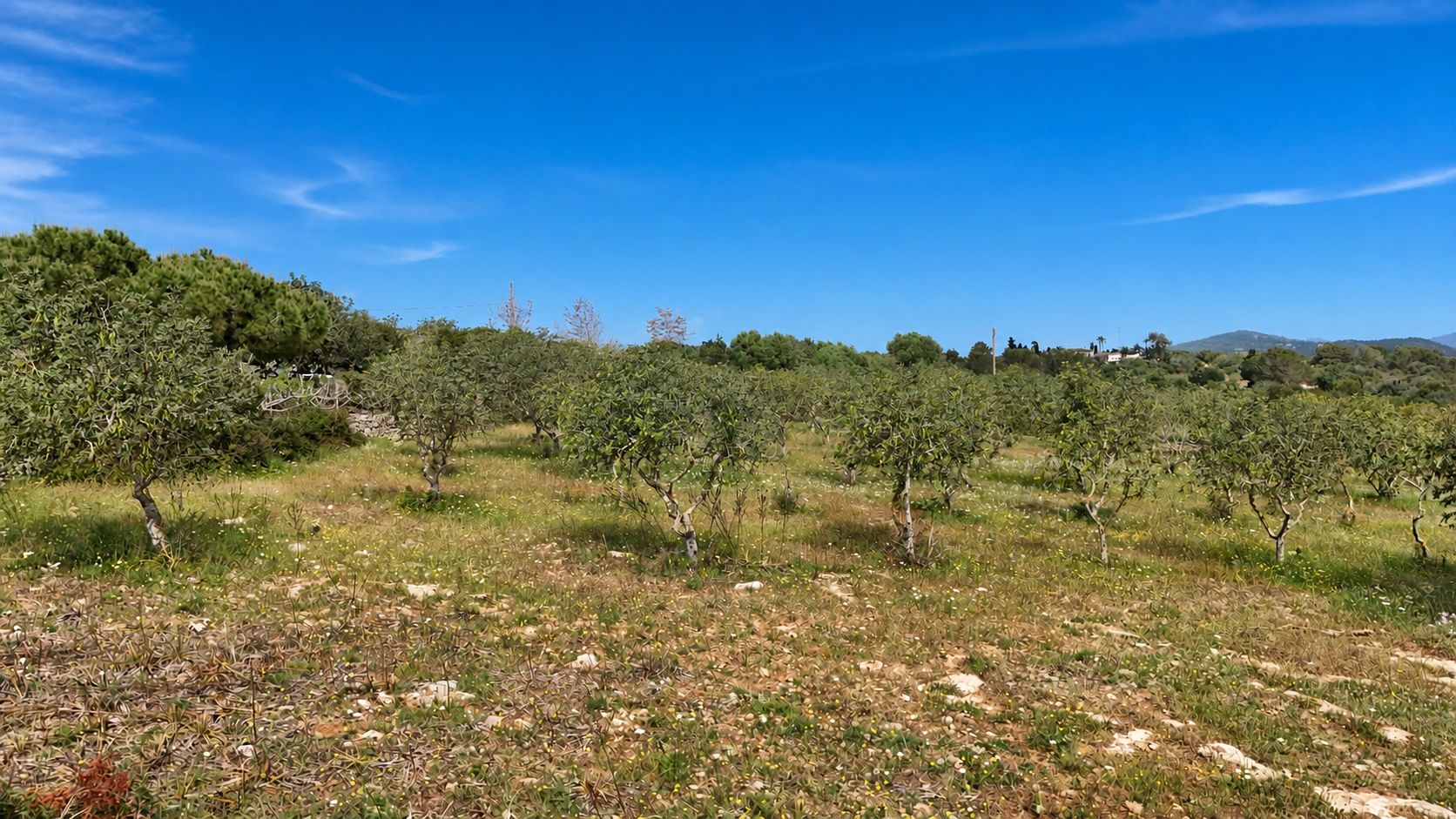 Finca de ensueño única con vistas al mar y proyecto aprobado – comience hoy mismo!