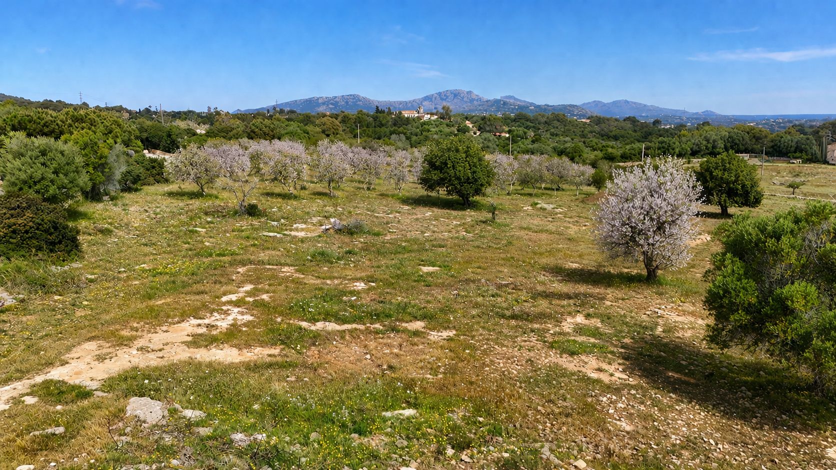 Finca de ensueño única con vistas al mar y proyecto aprobado – comience hoy mismo!