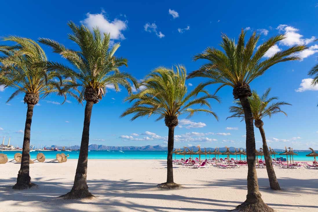 Exklusive städtische Parzelle von 710 m² in Bonaire (Alcúdia) mit verfügbarer Vorprojektplanung.