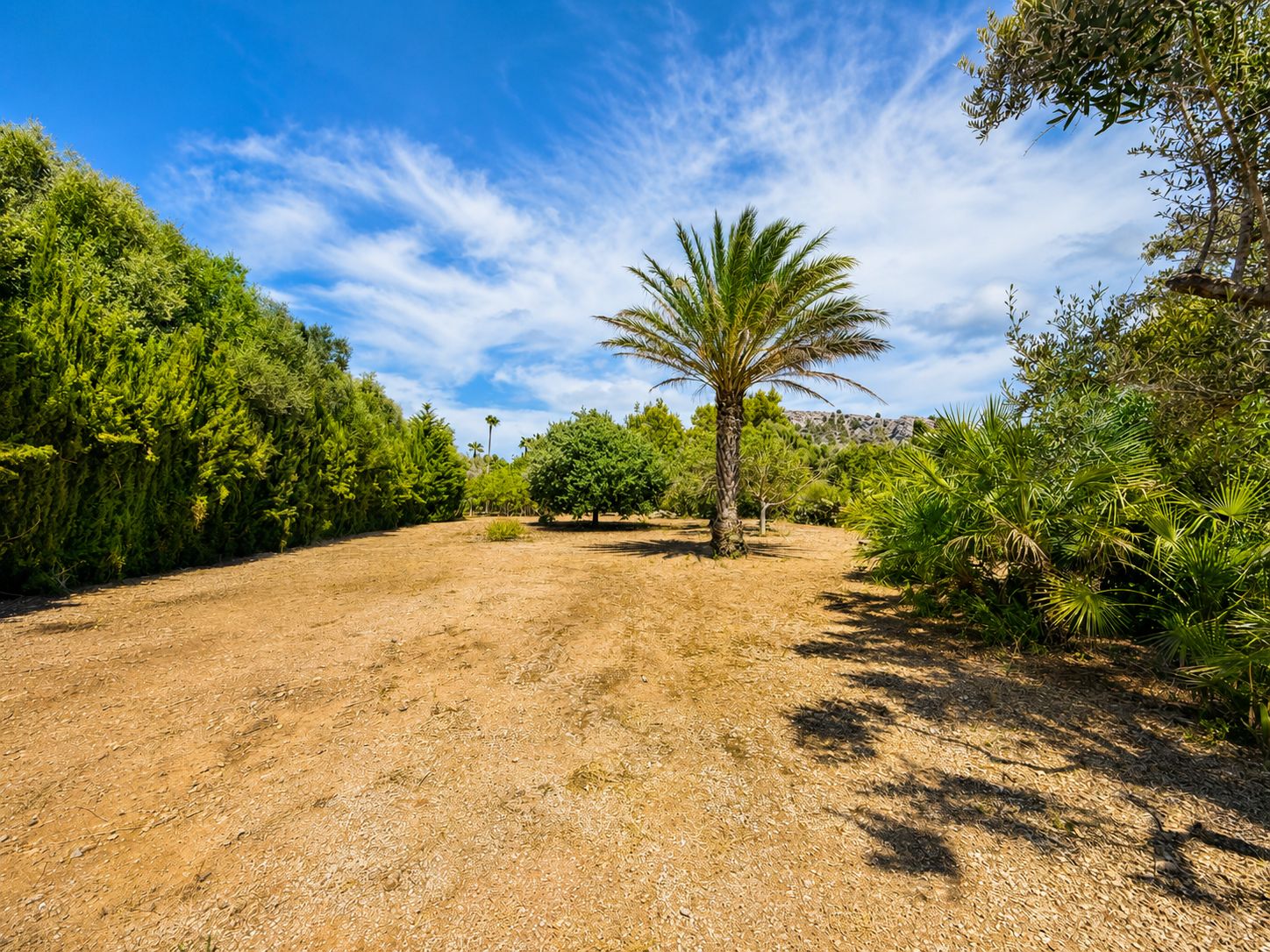 Rustic estate with views, pool, privacy, and Mallorcan charm in Pollença.