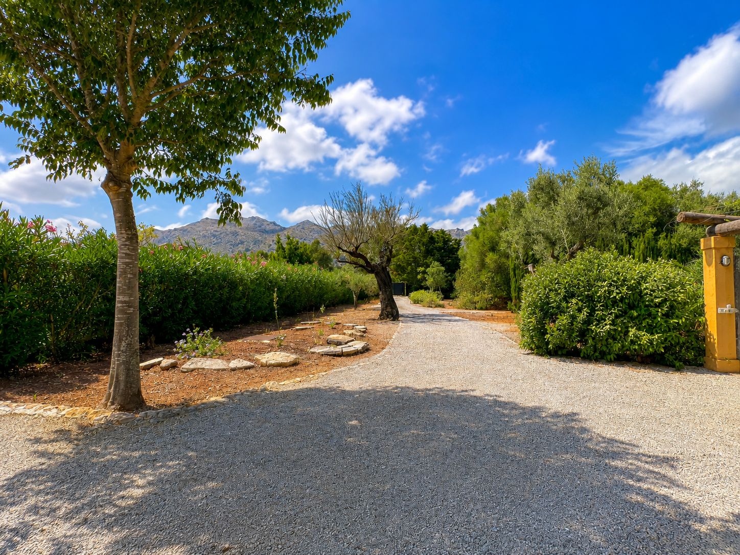 Rustic estate with views, pool, privacy, and Mallorcan charm in Pollença.