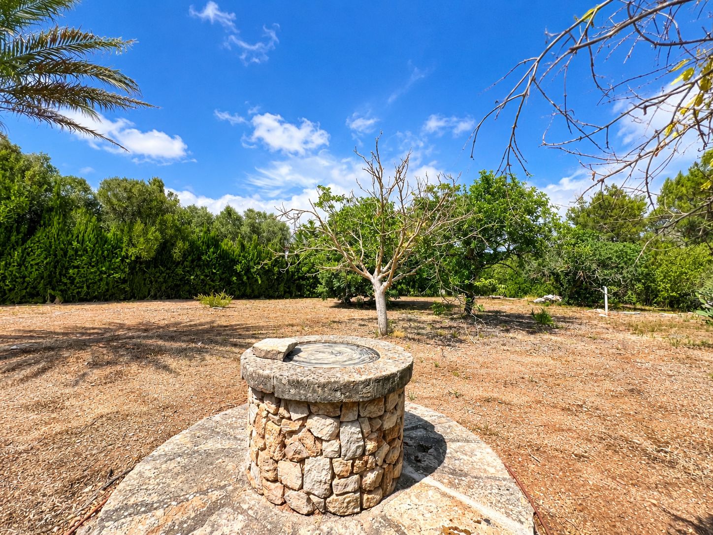 Rustic estate with views, pool, privacy, and Mallorcan charm in Pollença.