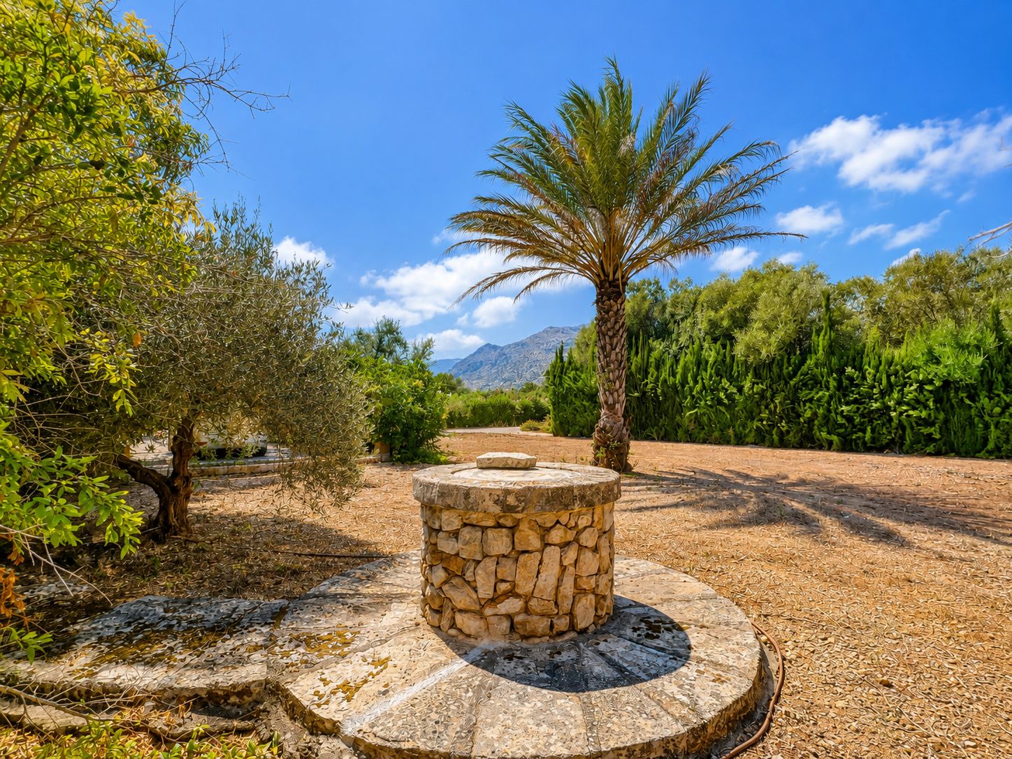 Rustic estate with views, pool, privacy, and Mallorcan charm in Pollença.