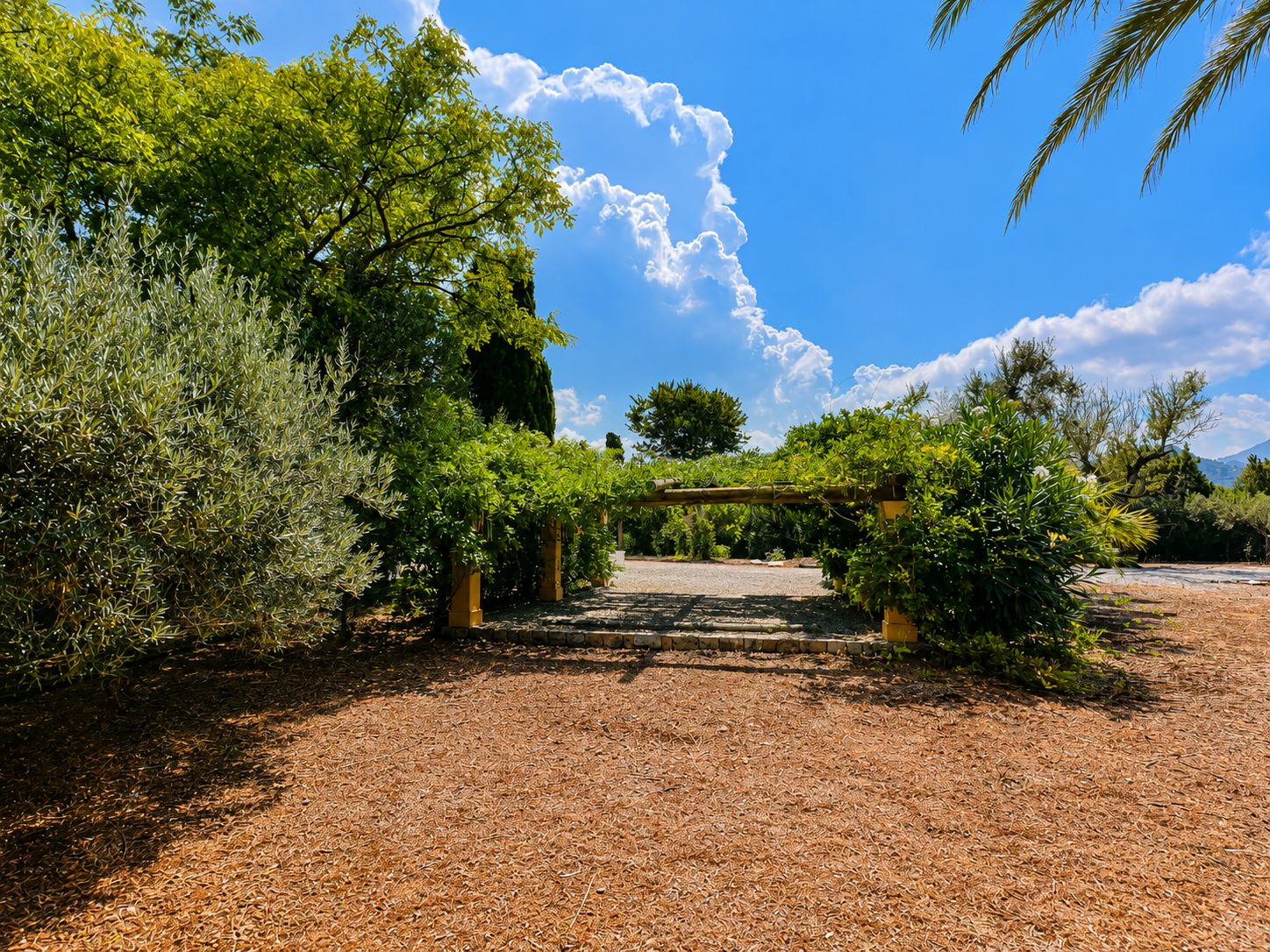 Rustic estate with views, pool, privacy, and Mallorcan charm in Pollença.