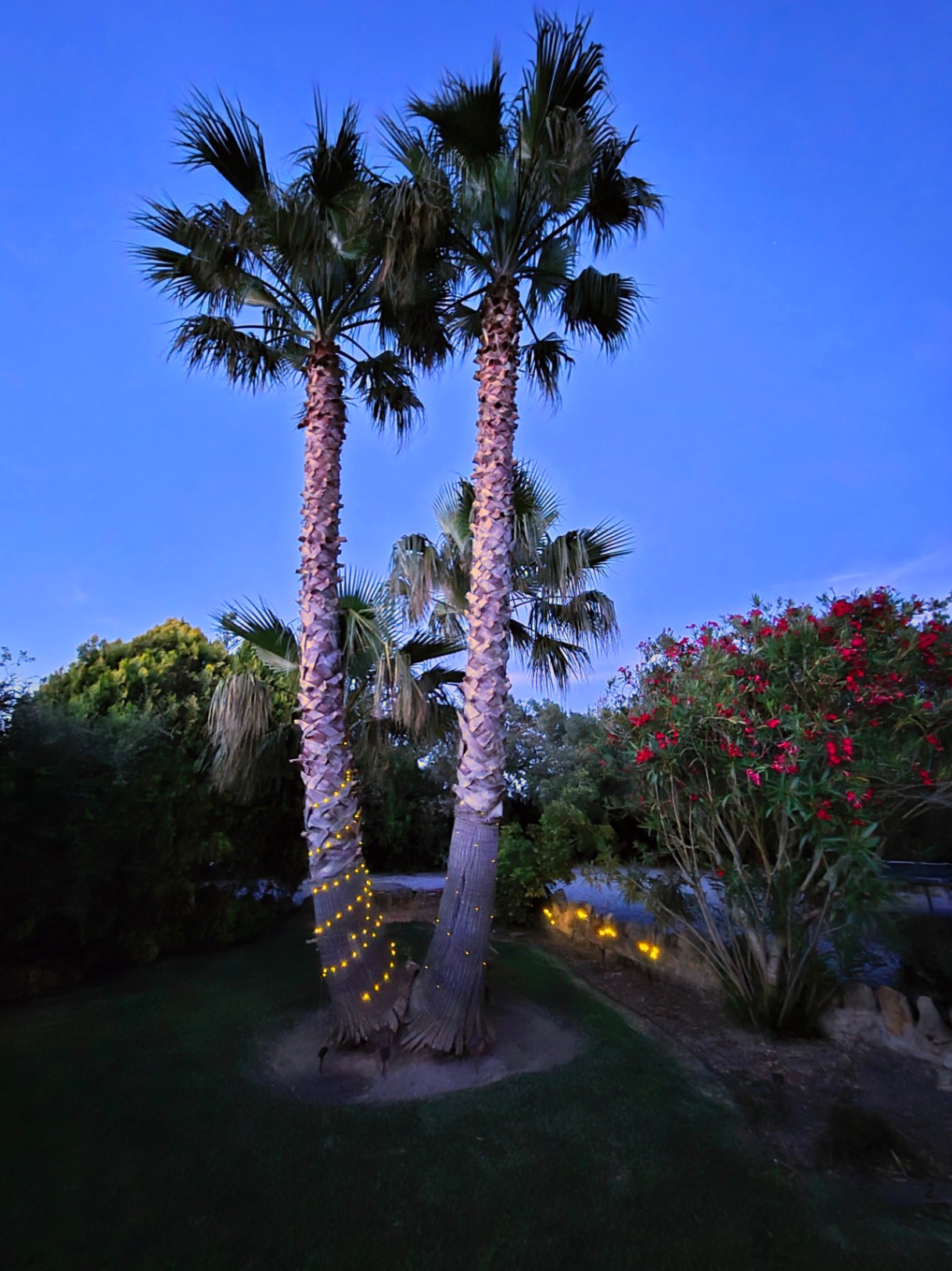 Finca rustique écologique à 10 minutes de Playa de Muro.