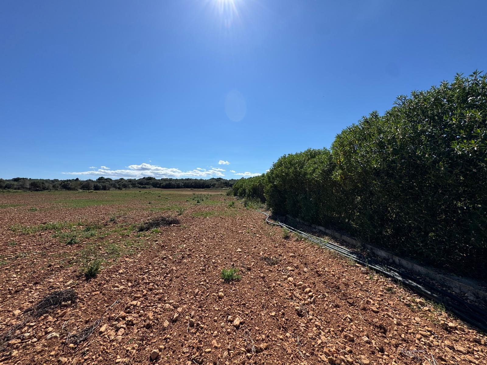 Rustikale Finca in idyllischer Umgebung mit Grundprojekt.