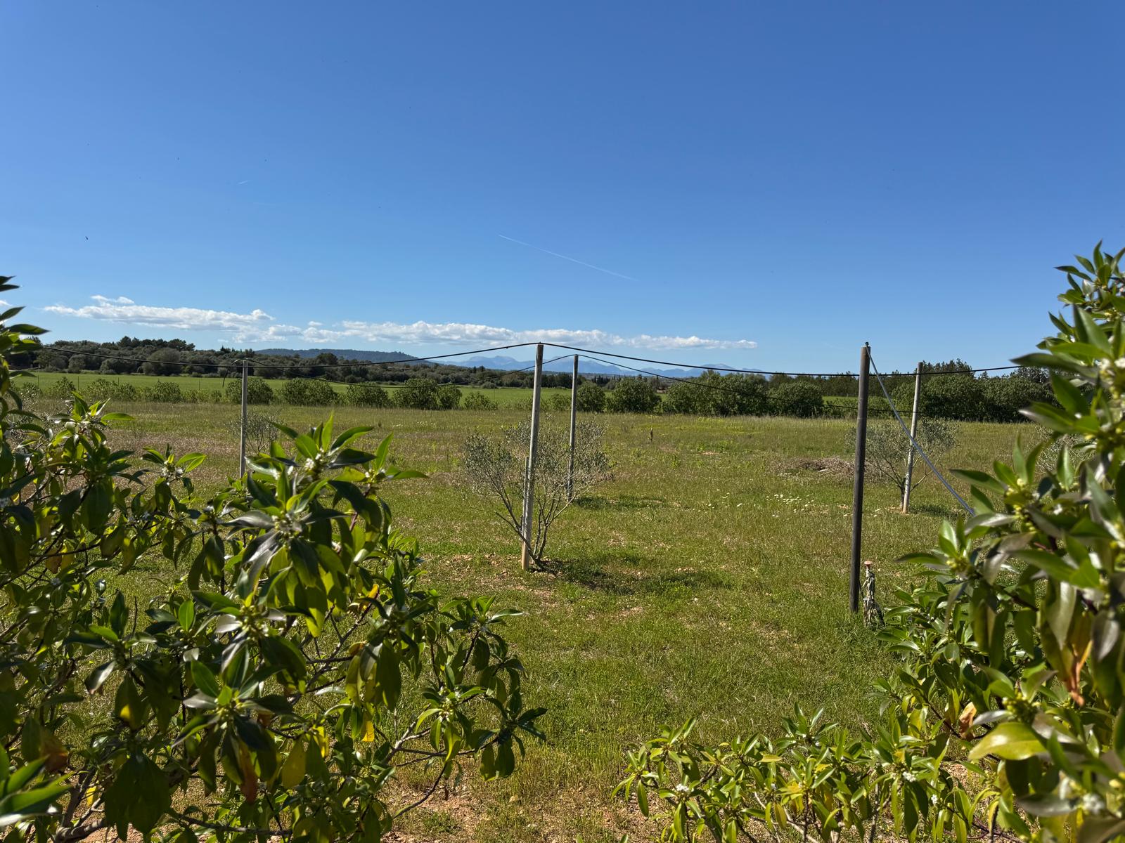 Rustikale Finca in idyllischer Umgebung mit Grundprojekt.