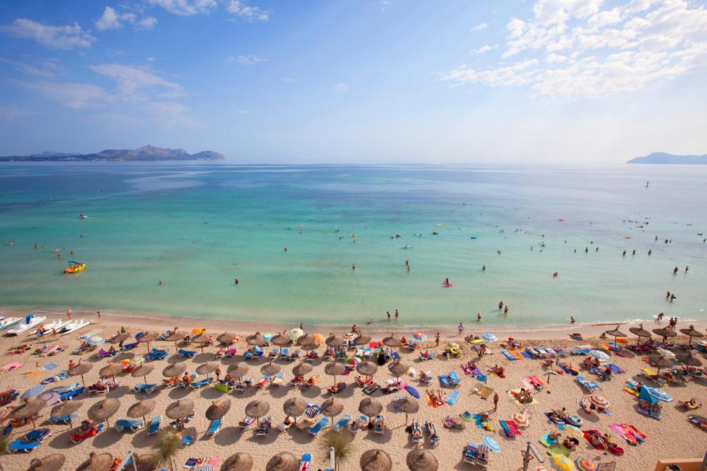 Solar urbano con proyecto basico para dos chalets cerca del mar en Sa pobla.