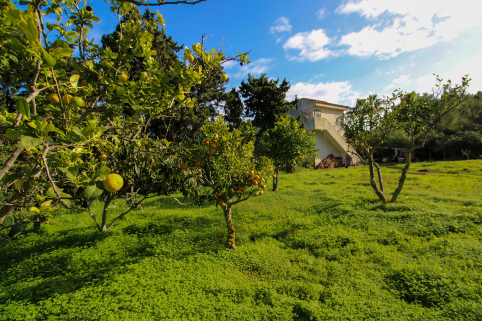 Fantástica finca mediterránea con ETV cerca del mar.
