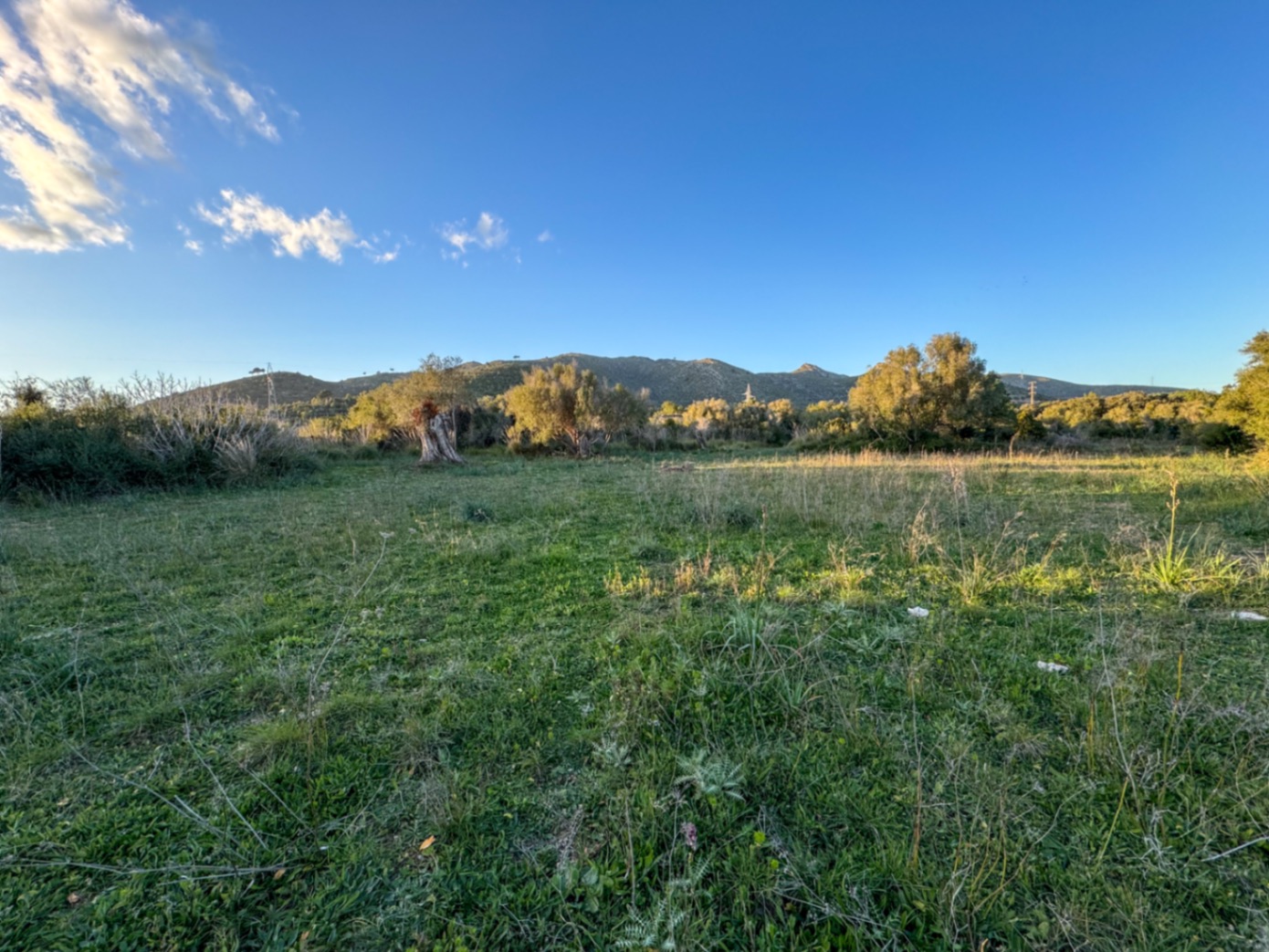OFERTA EXCEPCIONAL: Preciosa finca rústica con vistas a la montaña y proyecto de construcción con NORMATIVA ANTERIOR entre Capdepera y Arta.