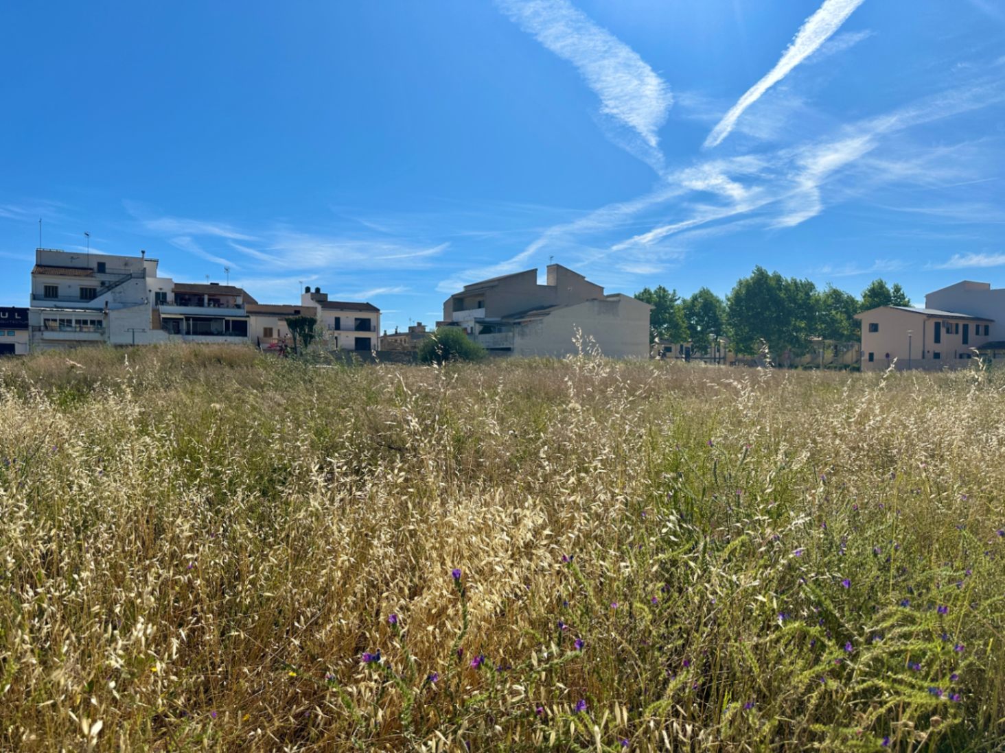 Urban plot of 800 metres near the sea, in Can Picafort.