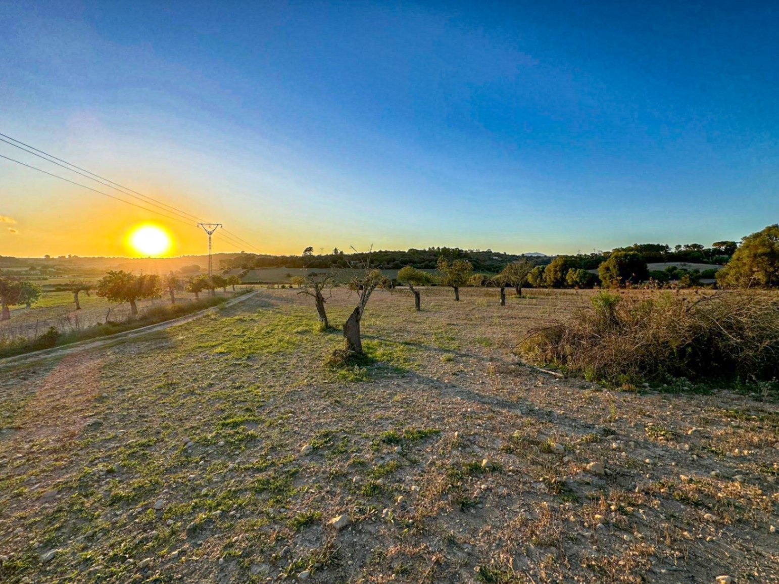 Terreno Rústico con Proyecto Básico en Hermoso Entorno Rural, Sineu.